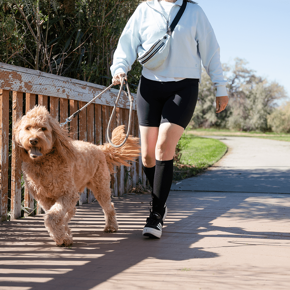 Circulation socks women worn while walking dog