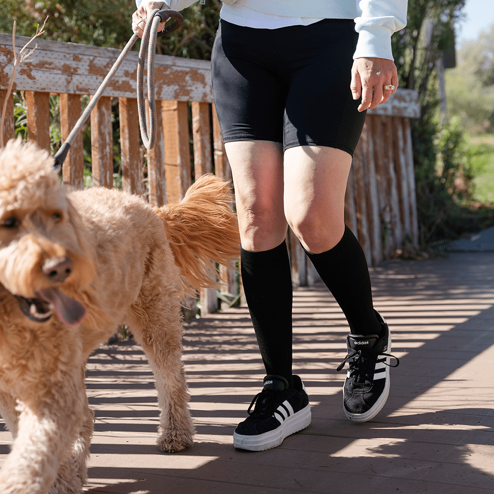 Best circulation socks women worn walking dog